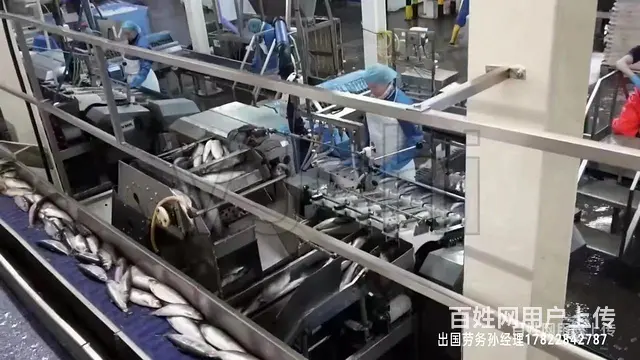 黑河正规渠道国企援建项目出国打工做什么工作 - 图片 4