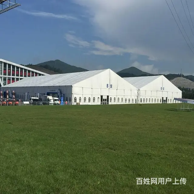 户外大型博览会篷房搭建大跨度无立柱空间利用率大 - 图片 6
