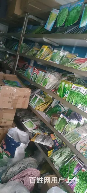 西昌市20平信农种子门店转让 - 图片 5