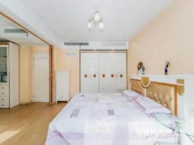 南肖埠中大吴庄别墅别墅豪华装修南北难找房子 - 图片 2