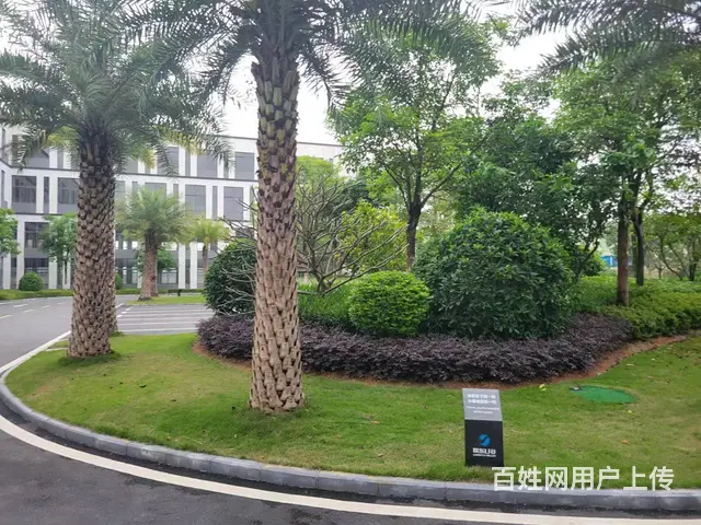 珠海唐家 五层独栋 2700到6000平 企业总部 独立产权 - 图片 11