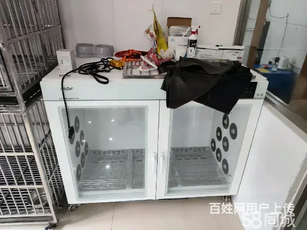 急转！邢台市桥东区南园路80平博爱宠物店 - 图片 7