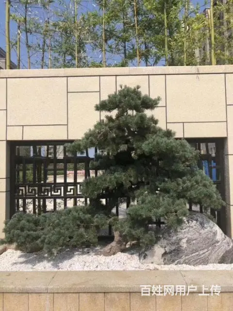 威海五渚河生态城 盘福园 享碧海连天一世书香 - 图片 1