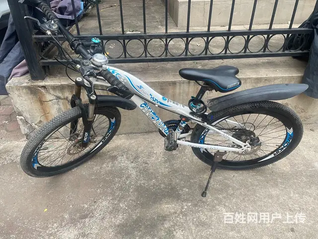 飞鸽自行车 - 图片 2