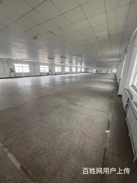 （新房源）羊亭和兴路附近标准厂房出租可分租 - 图片 6