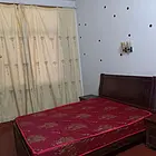 本人有一套房子出租3室一厅一卫