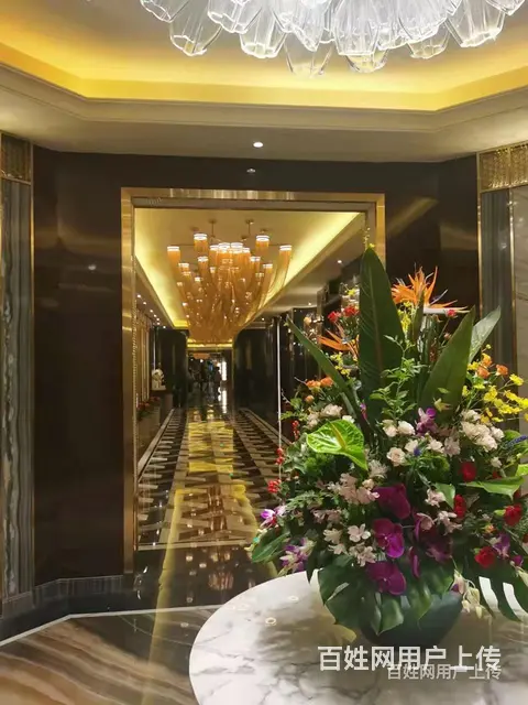 南充著名夜总会预订请收藏这篇文章 - 图片 8