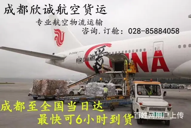 成都欣诚宠物托运公司 全国当日达 - 图片 4