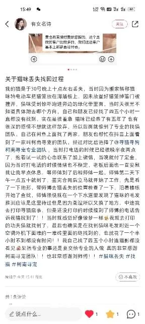 内蒙古寻猫团队，内蒙古寻宠物团队，内蒙古找猫团队 - 图片 1