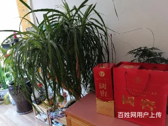 切纸刀，椅子等 - 图片 1