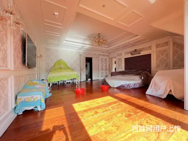 汇锦庄园 双拼别墅 使用800米1175W 大花园车库 - 图片 11
