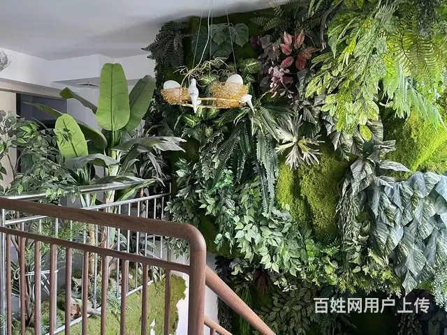 张店区水晶街营业中剧本杀整体出 - 图片 5