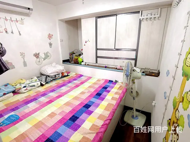 保税区华美空间旁古龙公寓两房出租 - 图片 3