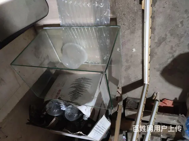 鱼缸 - 图片 1