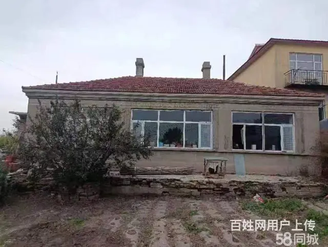 道里机场路二手车市场蒋化屯厂房出售 - 图片 11