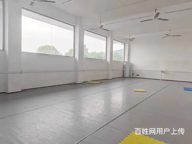 （老板本人）岳麓区长韶娄高速旁独栋厂房仓库别墅出租 6446 - 图片 5