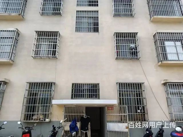 （51旺铺推荐）南丁村400平整栋出租 - 图片 2