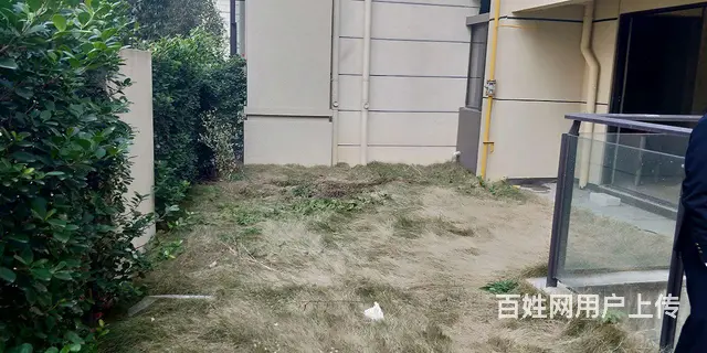 星河楼房出售 - 图片 6