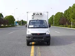 五菱汽油冷藏车 国六新春特惠可分期