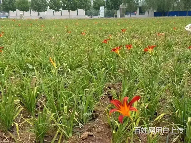 2024年滨州卫校春季招生进行中 - 图片 3