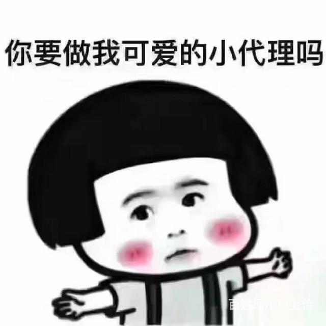 深圳服务 深圳招商加盟 深圳产品代理 公司名称: 深圳市小同大美科技