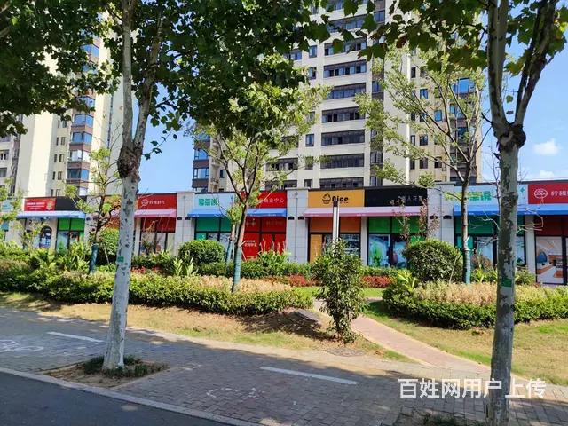 出租巢湖  新华地产  沿街店铺 - 图片 2