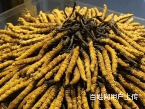 团风县回收整箱茅台酒回收闲置名烟名酒 - 图片 2
