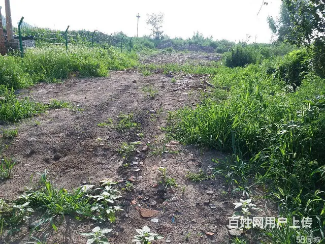 【搞定了！】独门独院没有邻居适合工厂、仓库、储罐、养殖 - 图片 3
