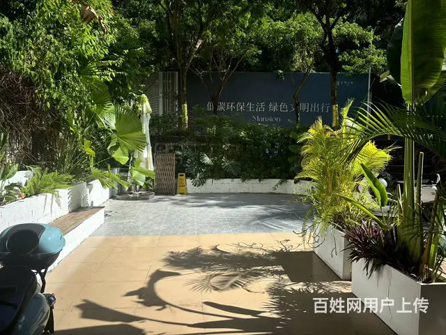 （51旺铺推荐）阳区海螺40平花艺店转让 - 图片 12