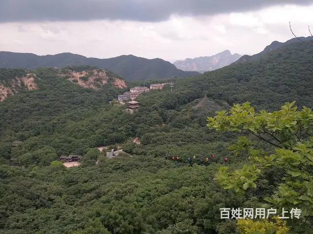 征婚 - 图片