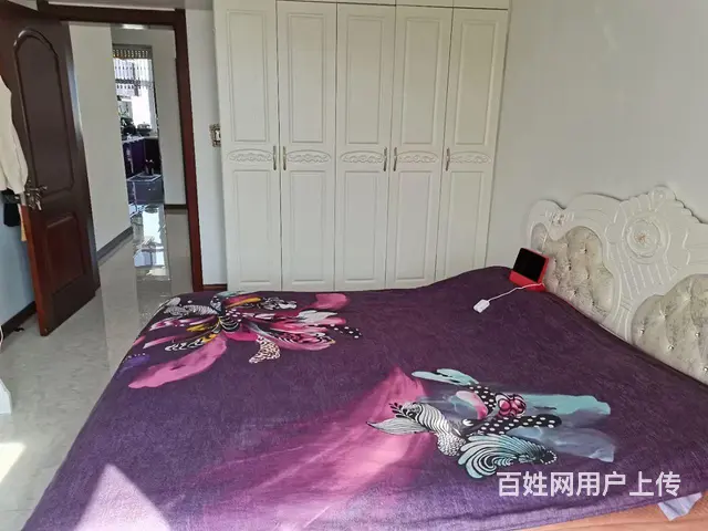  - 图片 1