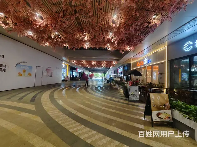 （51旺铺推荐）远大购物广场50平旺铺房东直租 - 图片 6