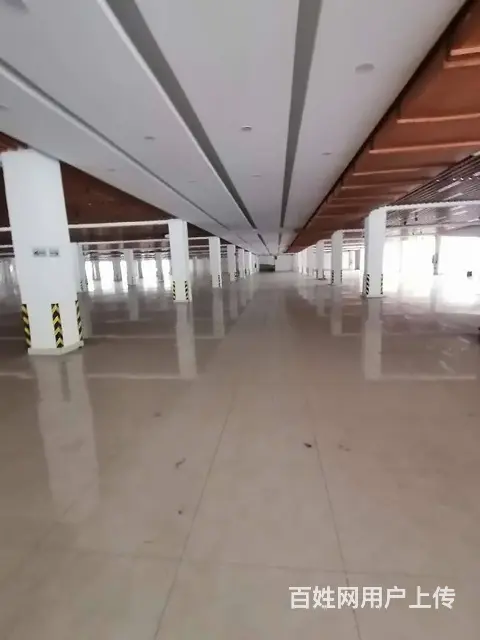 高新区高架8000平，可分租，形象好，有坡道，汽车可开上楼。 - 图片 2