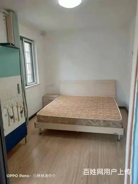 大上海广场 普通住宅1厅 中等装修 - 图片 3