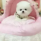 博美幼犬精品/赛级博美幼犬 球体博美签协议保纯