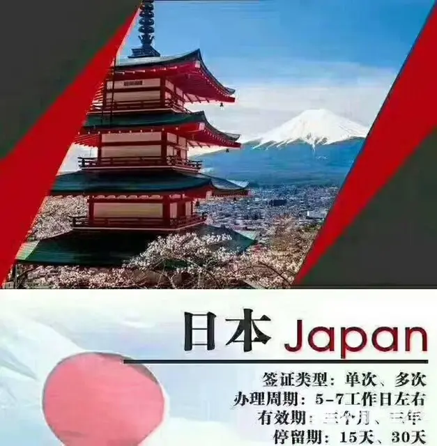 专业代办各国出国签证 出国签证办理 - 图片 6