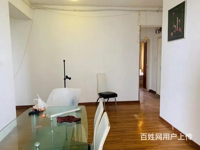 出租中城.花园虹梅苑精品 便宜 只此一套 - 图片 9