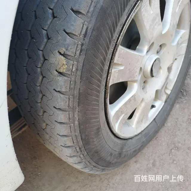 金龙海狮14坐 - 图片 8