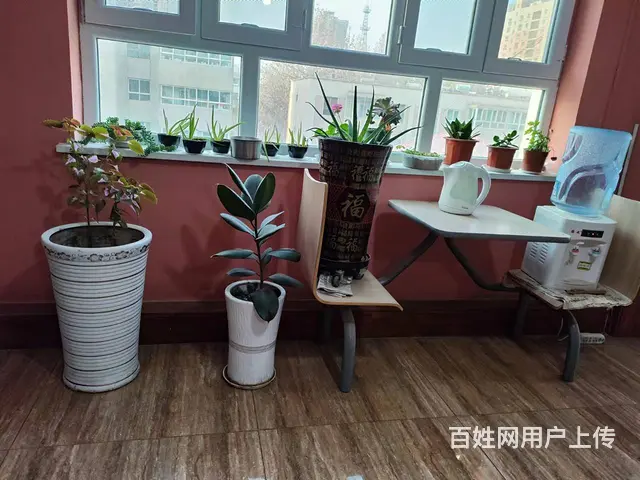 B个人一步行街中端位置四楼商铺空店出租 - 图片 4