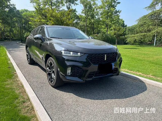 WEY VV7 2019款 2.0T 双离合 旗舰型 升级版 - 图片 3