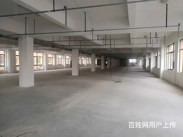 （3-5吨货梯）1200至7千平厂房出售，丙类消防，内墙粉白 - 图片 8