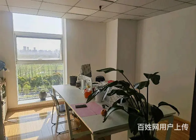 南湖大道上，朝东朝南，采光视野好 - 图片 3