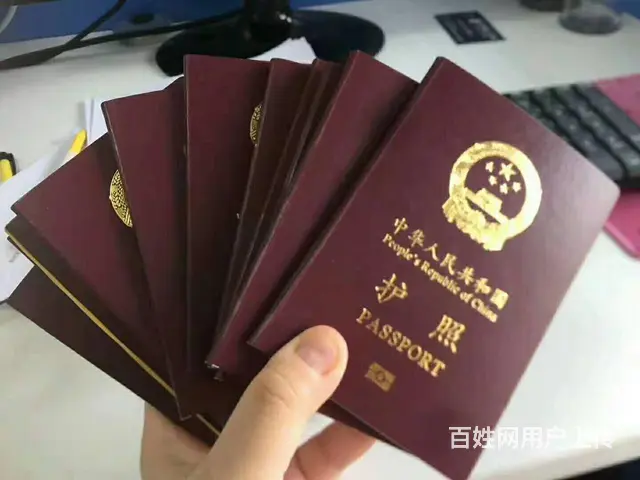 澳洲森林招垃圾清理，直树工，养护工，农业工 - 图片 4