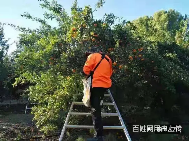 常州出国打工年薪30万到40万，进来看看。 - 图片 4
