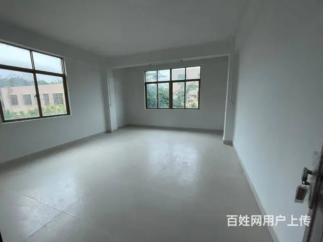 （51旺铺推荐）仓库招租独栋美跃村300平 - 图片 6