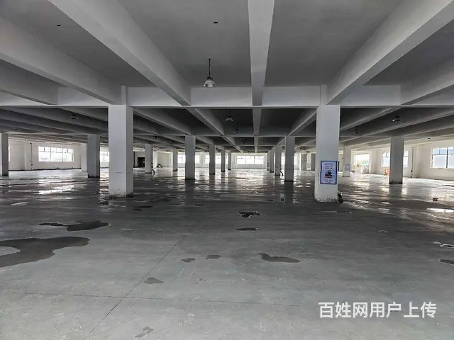 董浜全新厂房1至4层14000平，可分租，高8米，随时可用。 - 图片 5