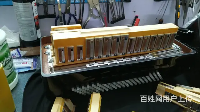 广州鹦鹉手风琴维修服务站，百乐金杯手风琴维修 - 图片 2