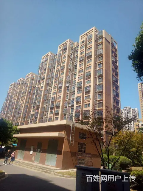 近九洲花园，祥龙苑精装大三房，南北通透，三朝南，满 - 图片 11
