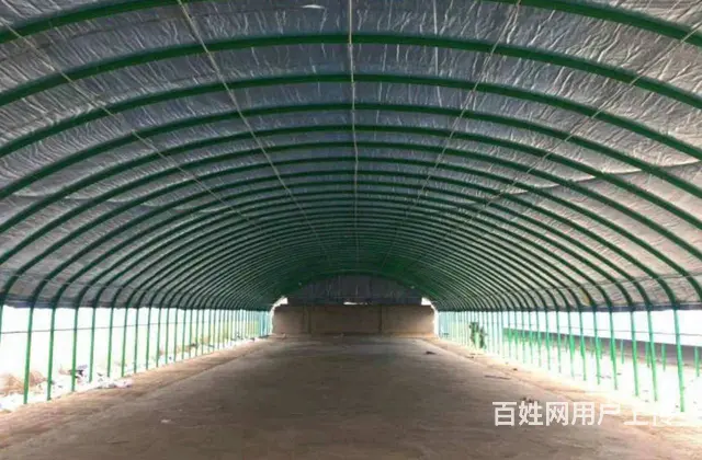 绍兴地区批发大棚骨架上门定做各种养殖大棚种植大棚 - 图片 1