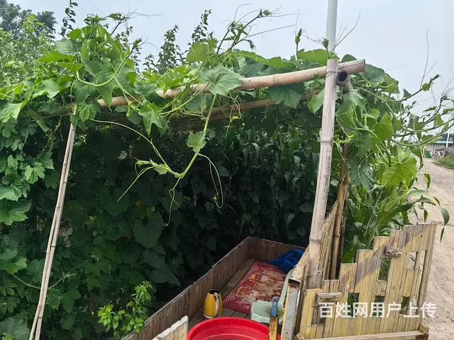 农家院便宜住 - 图片 10
